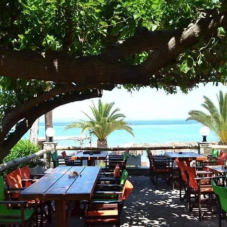 Hotel Polychrono Beach Hotel 3*