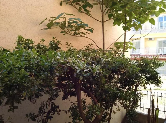 Hotell Polychrono Beach Hotel